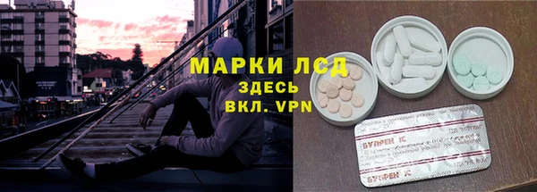 СК Покачи